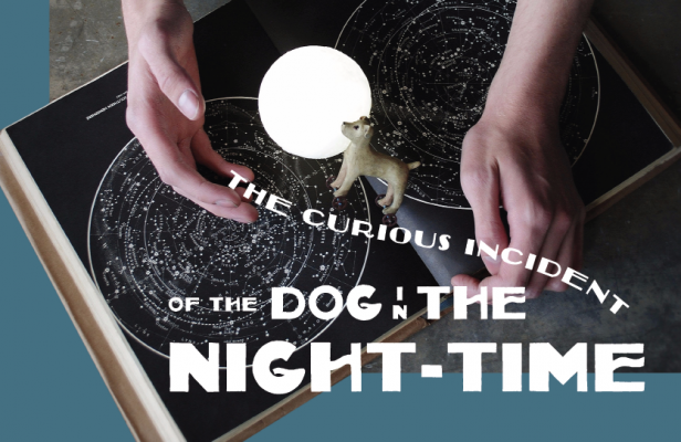 The Curious Incident of the Dog in the Night-Time